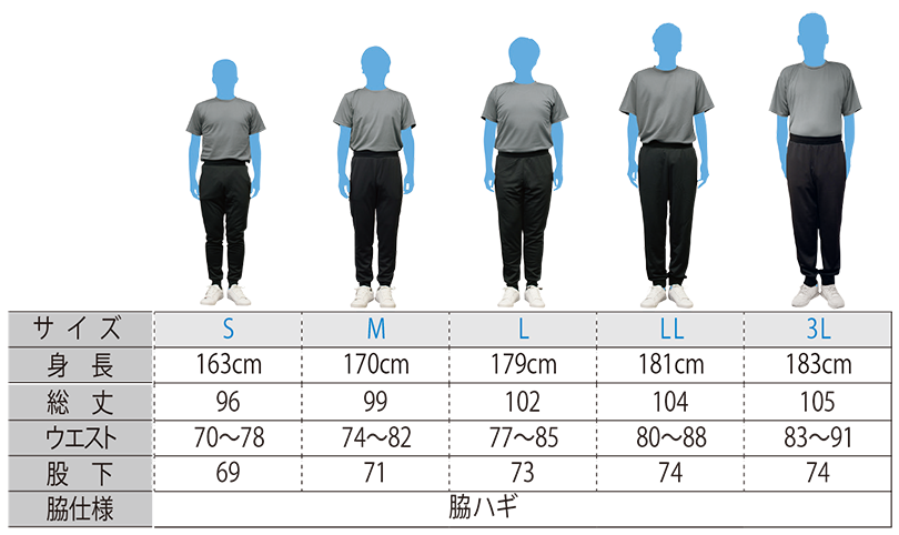343-ASP　S～3L　モデル着用サイズ