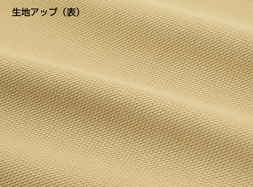 P2300 生地