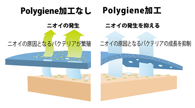 ポリジン加工の効果